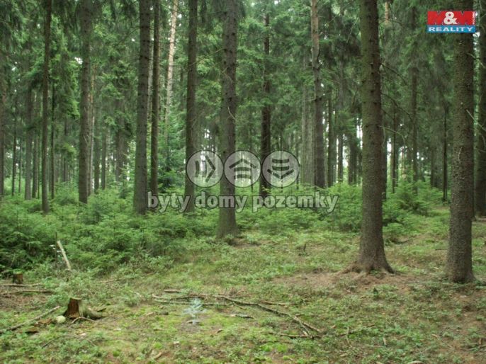 Prodej, Les, Manětín