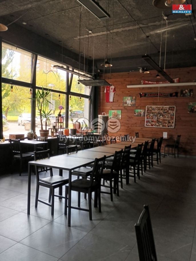 Pronájem, Obchodní objekt, Příbram