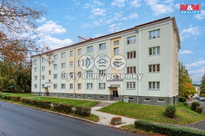 Prodej, Byt 3+1, Nová Role