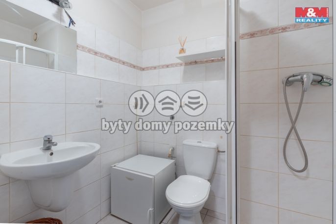 Prodej, Byt 1+kk, Písek