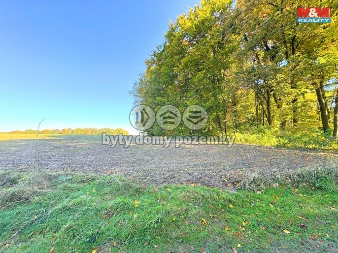 Prodej, Zahrada, Ostrava