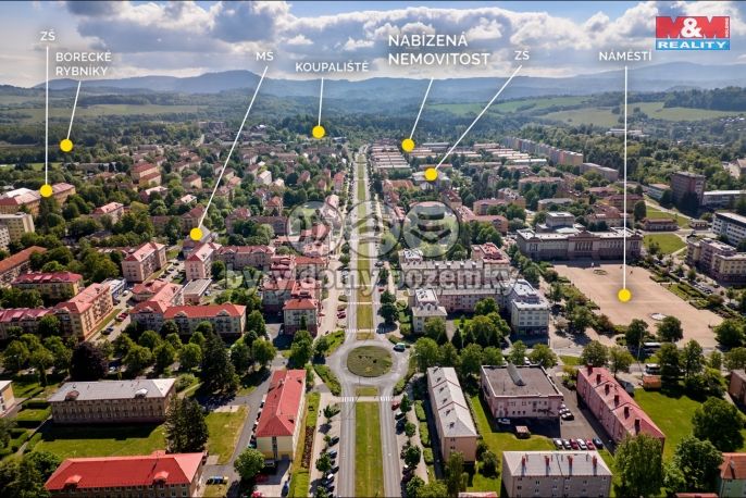 Prodej, Byt 3+1, Ostrov