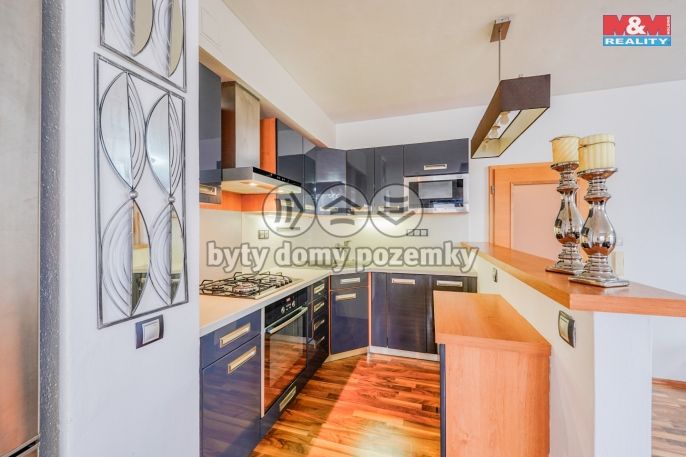 Pronájem, Byt 3+kk, Plzeň