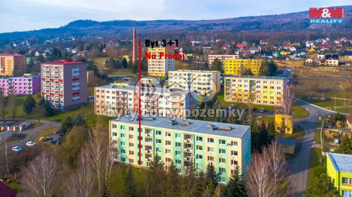 Prodej, Byt 3+1, 77 m², Jílové, Spojová
