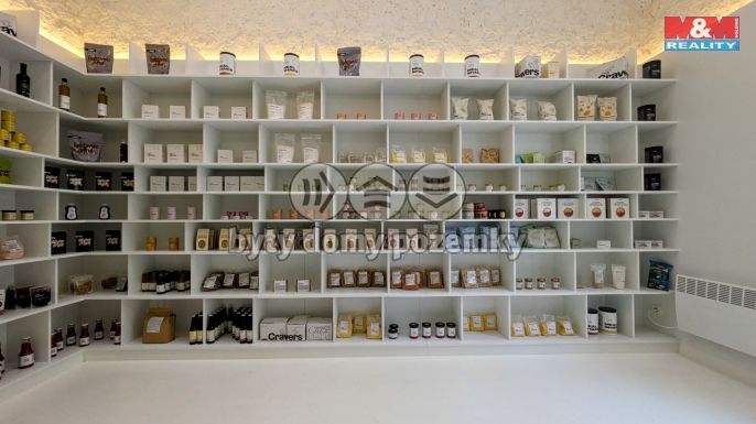 Pronájem, Obchod a služby, Praha