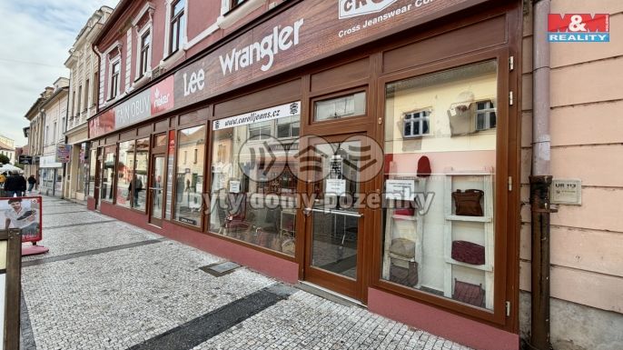 Pronájem, Obchod a služby, Louny