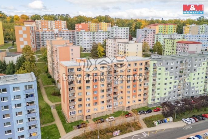 Prodej, Byt 2+1, Cheb