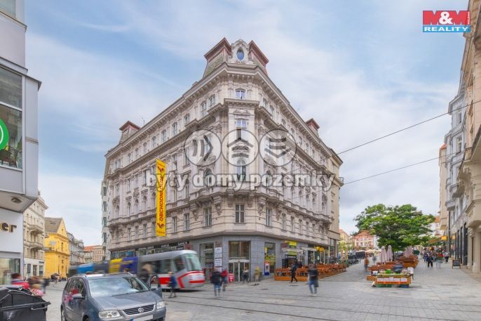 Pronájem, Ostatní, Brno