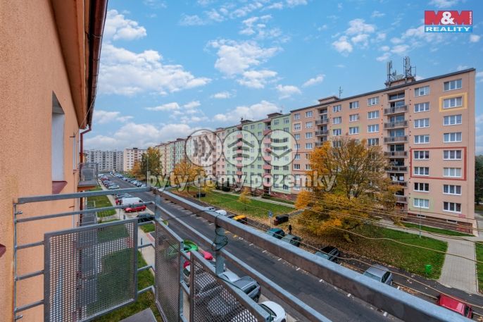 Prodej, Byt 2+1, Ostrov