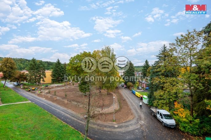 Prodej, Byt 3+1, Nová Role
