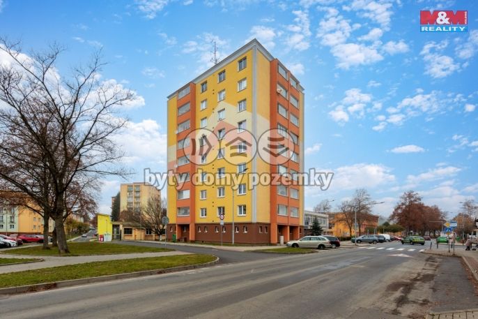 Prodej, Byt 3+1, Nová Role