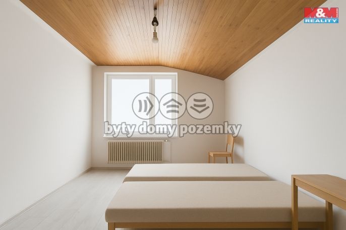 Prodej, Hotel, penzion, Železná Ruda