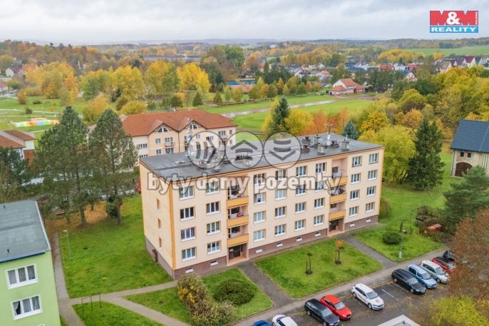 Pronájem, Byt 2+1, Planá