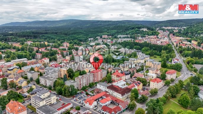 Prodej, Byt 2+1, Mariánské Lázně