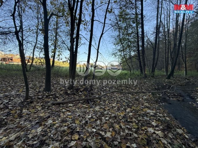 Prodej, Les, Velká Polom