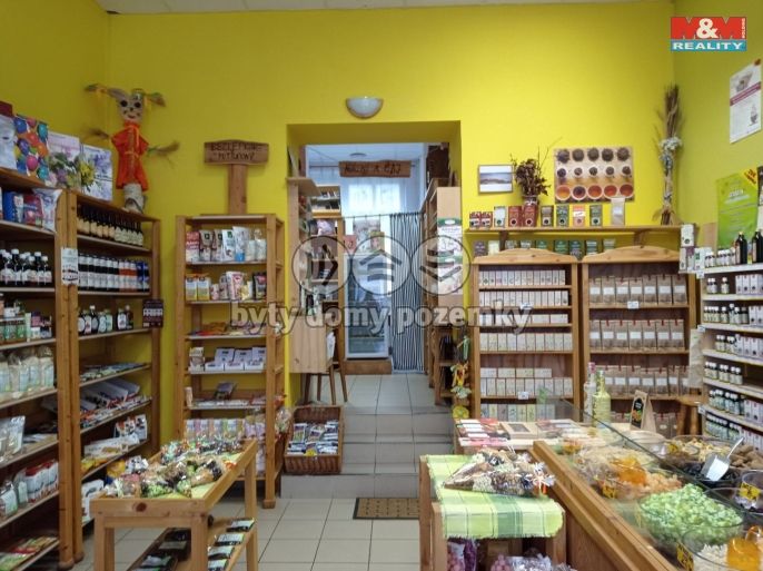 Pronájem, Obchod a služby, Český Těšín