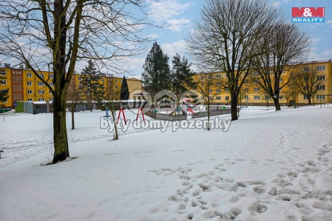 Prodej, Byt 2+1, Nová Role