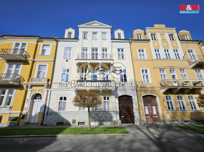 Pronájem, Byt 1+1, Františkovy Lázně