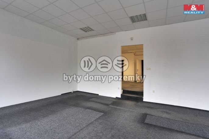 Pronájem, Obchod a služby, Český Těšín