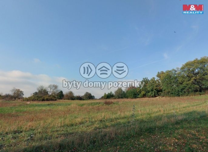 Prodej, Pole, Petrovice