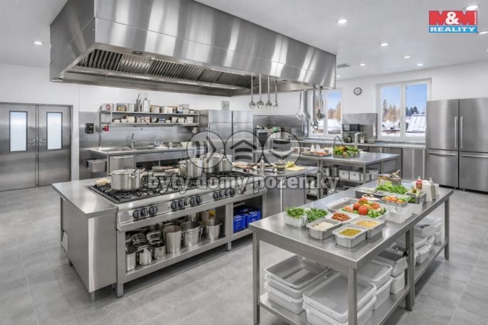 Prodej, Hotel, penzion, Borušov