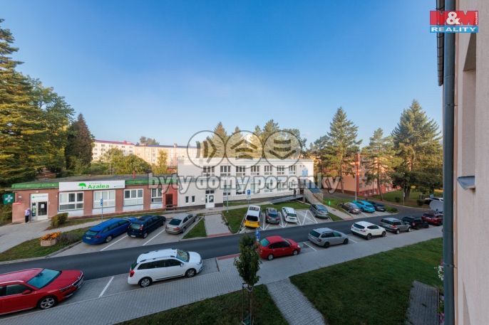 Prodej, Byt 3+1, Nová Role