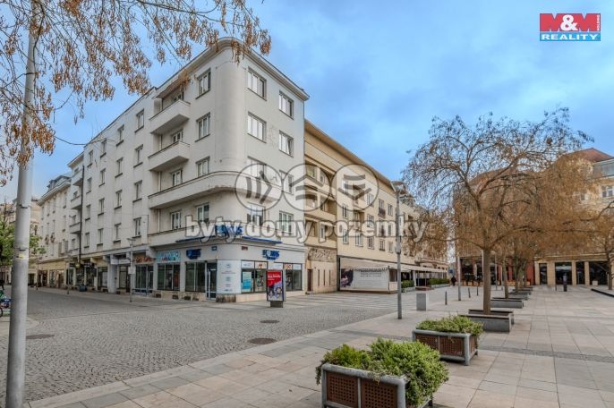 Prodej, Byt 1+1, 34 m², Ostrava, Masarykovo náměstí