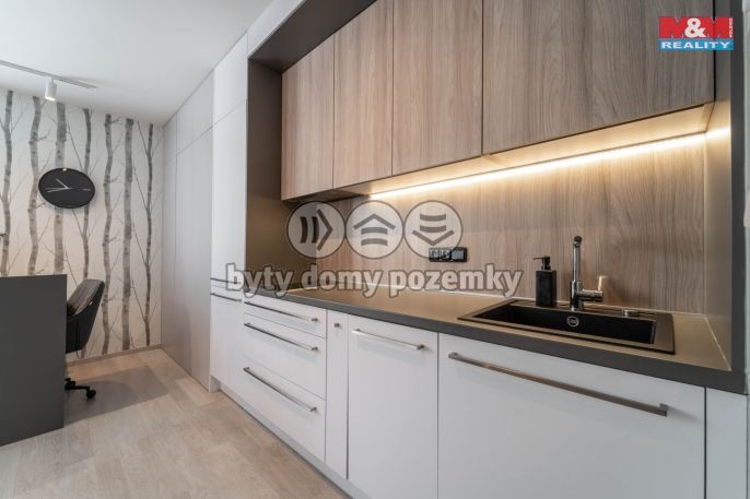 Prodej, Byt 1+kk, Praha