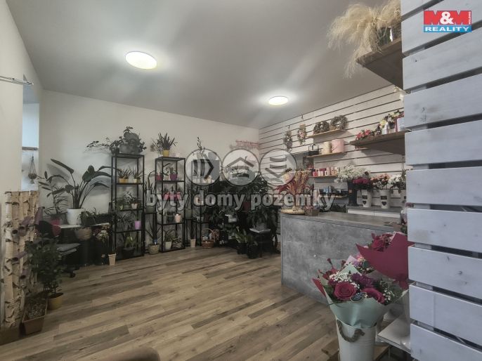 Pronájem, Obchodní objekt, Brno