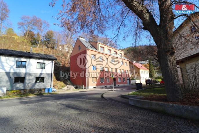 Prodej, Byt 2+1, Loket