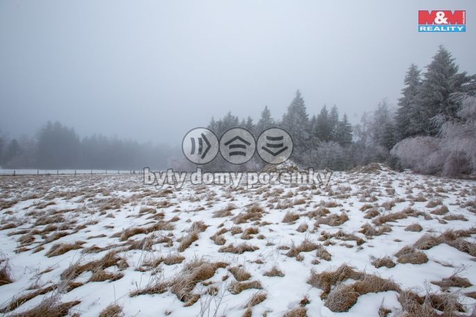 Prodej, Zahrada, Kunžak