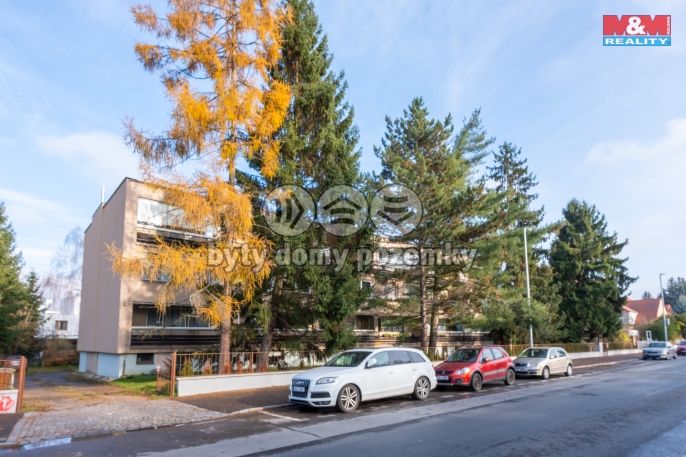 Prodej, Byt 1+kk, Praha