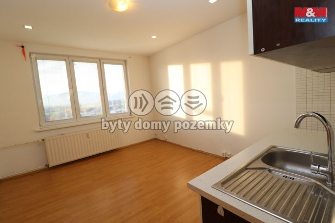 Pronájem, Byt 1+kk, Ostrov