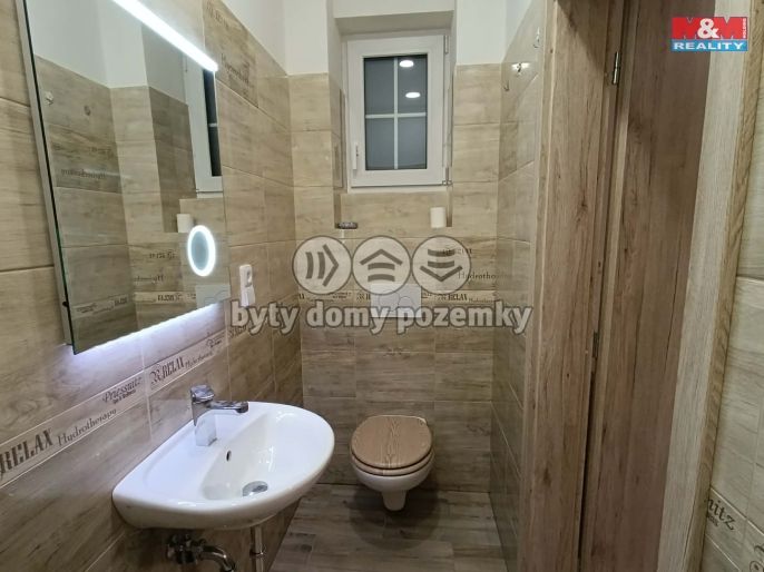 Pronájem, Byt 1+kk, Suchdol nad Lužnicí