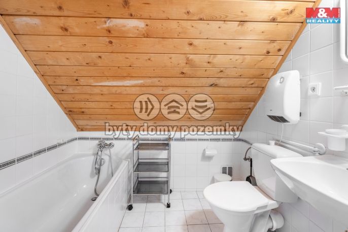 Prodej, Hotel, penzion, Harrachov