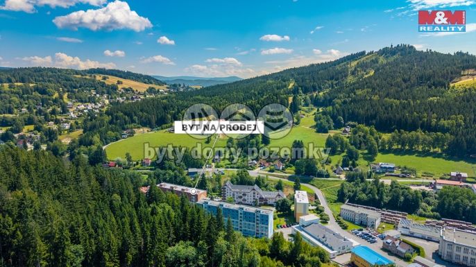 Prodej, Byt 1+kk, Jiřetín pod Bukovou
