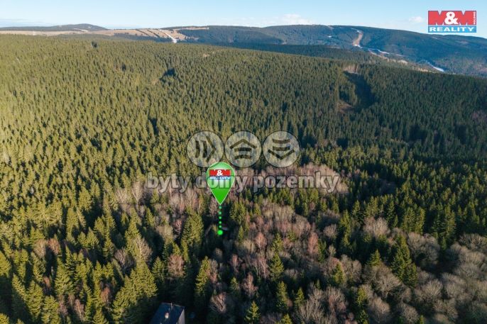 Prodej, Rodinný dům, Jáchymov