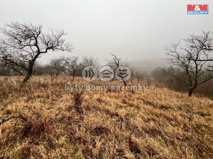 Prodej, Zahrada, Židlochovice