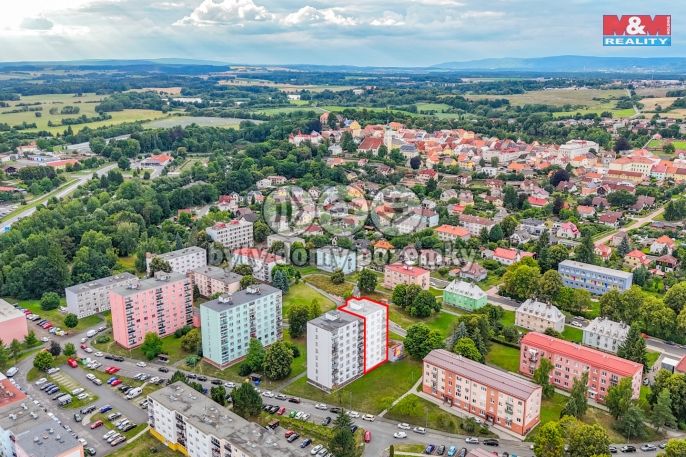 Pronájem, Byt 2+1, Planá