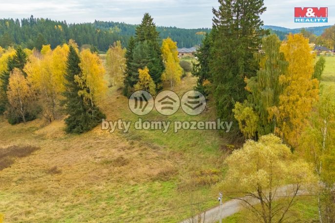 Prodej, Ostatní, Pila