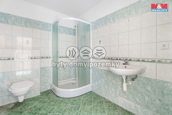 Prodej, Byt 1+kk, Mladé Buky