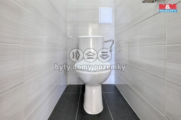 Prodej, Byt 3+1, Hostouň