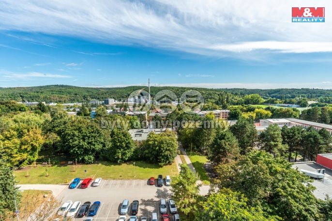 Prodej, Byt 1+kk, Brno