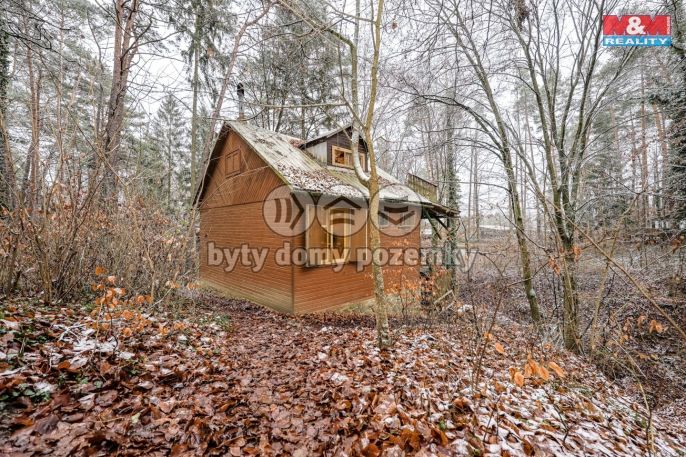 Prodej, Ostatní, Brno