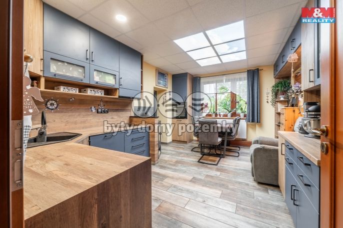 Prodej, Obchodní objekt, Bechyně