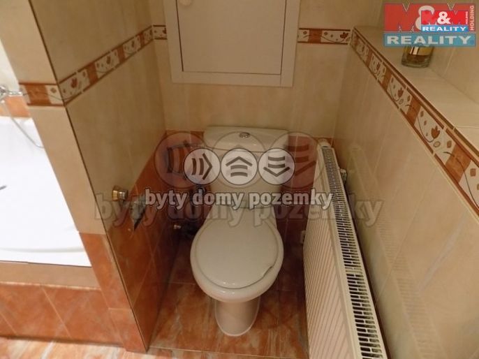 Pronájem, Byt 2+kk, Tmaň