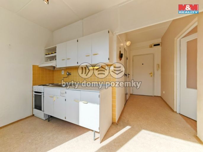 Prodej, Byt 1+1, Janské Lázně