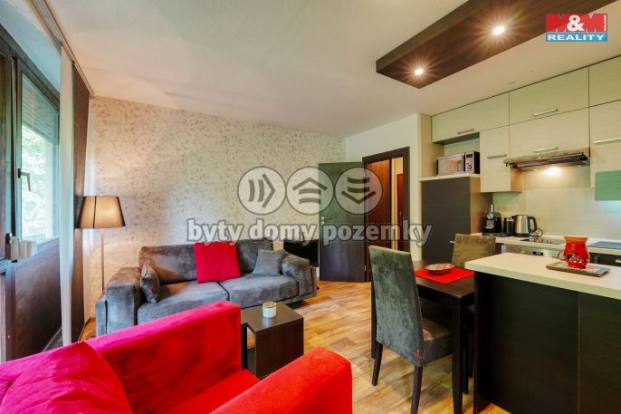 Pronájem, Byt 2+kk, Železná Ruda