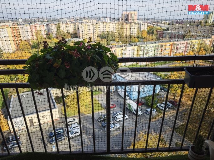 Pronájem, Byt 1+kk, Ostrava