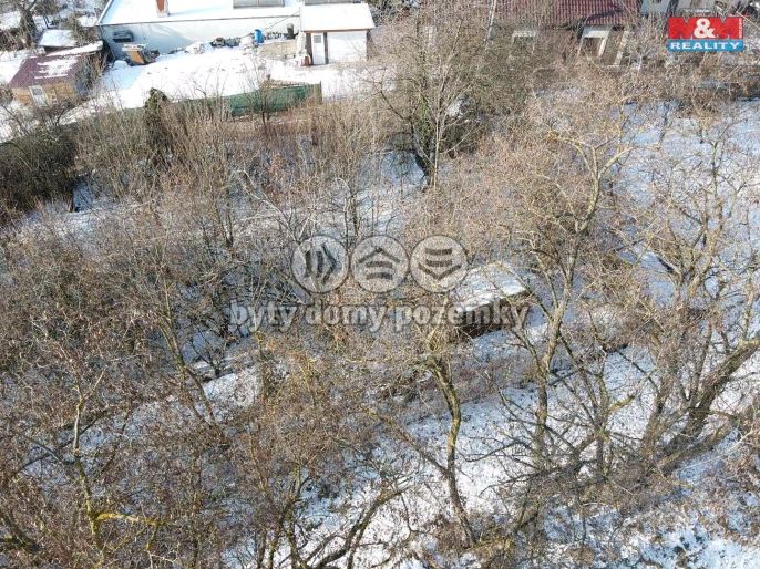 Prodej, Zahrada, Holice